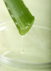 Aloe Vera - The Magical Herb For Skin Care!!!