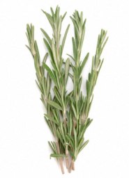 Some Secrets For The Maintenance Of Healthy Hair!