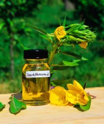 What Is The Importance Of Evening Primrose Oil In Skin Care?