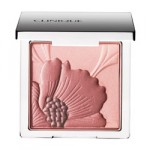 Amazing Makeup Powders To Enhance The Complexion Of Your Skin!