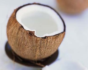 coconut oil