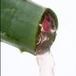 The Best Home Remedies For Dreaded Dandruff