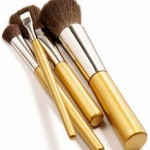 Make up Brushes
