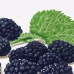 natural skin lightener