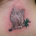 Contaminated Ink: Culprit of Tattoo Infections