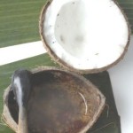 How to Use Coconut Oil for Hair Growth?