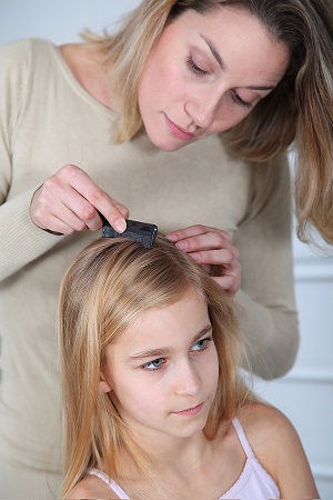 Natural Treatments For Head Lice