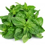 natural remedies for skin rashes