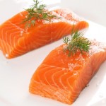 salmon